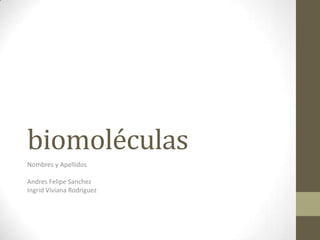 biomoléculas
Nombres y Apellidos

Andres Felipe Sanchez
Ingrid Viviana Rodriguez
 