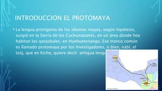 INTRODUCCION EL PROTOMAYA
• La lengua primigenia de los idiomas mayas, según hipótesis,
surgió en la Sierra de los Cuchumatanes, en un área donde hoy
habitan los qanjobales, en Huehuetenango. Ese tronco común
es llamado protomaya por los investigadores, o bien, nabí, el
tziij, que en Kiche, quiere decir: antigua lengua.
 