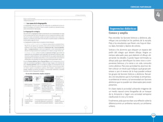 EDICIONES
SM
©
PROHIBIDA
SU
REPRODUCCIÓN
125
125
CIENCIAS NATURALES
4
UNIDAD
Para recordar los factores bióticos y abióticos, pla-
nifique una actividad en los jardines de la escuela.
Pida a los estudiantes que lleven una hoja en blan-
co, lápiz, borrador y lápices de colores.
Solicite a los alumnos que ubiquen un espacio del
jardín del colegio que deseen dibujar. Asigne un
tiempo adecuado para que elaboren el dibujo ob-
servando los detalles. Cuando hayan terminado su
dibujo pida que identifiquen los seres vivos o com-
ponentes bióticos, y lo inerte o sin vida, conocido
como abiótico. Para esta actividad los alumnos de-
ben colocar un rótulo que indique a qué grupo per-
tenece o por el reverso de la hoja pueden enlistar
los grupos de factores bióticos y abióticos. Recuer-
de a los estudiantes que la humedad, la temperatu-
ra ambiental, el viento y la luminosidad son factores
abióticos que no pueden ser observados pero están
presentes.
En clases repita la actividad utilizando imágenes de
un medio natural como fotografías de un bosque
de la Amazonía y hagan una actividad semejante
clasificando lo vivo y lo inerte.
Finalmente, pida que escriban una reflexión sobre la
diferencia entre un ambiente natural y un ambiente
urbano.
Sugerencias didácticas
Conoce y amplía
 