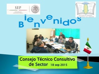 Consejo Técnico Consultivo
de Sector 18 sep 2015
 