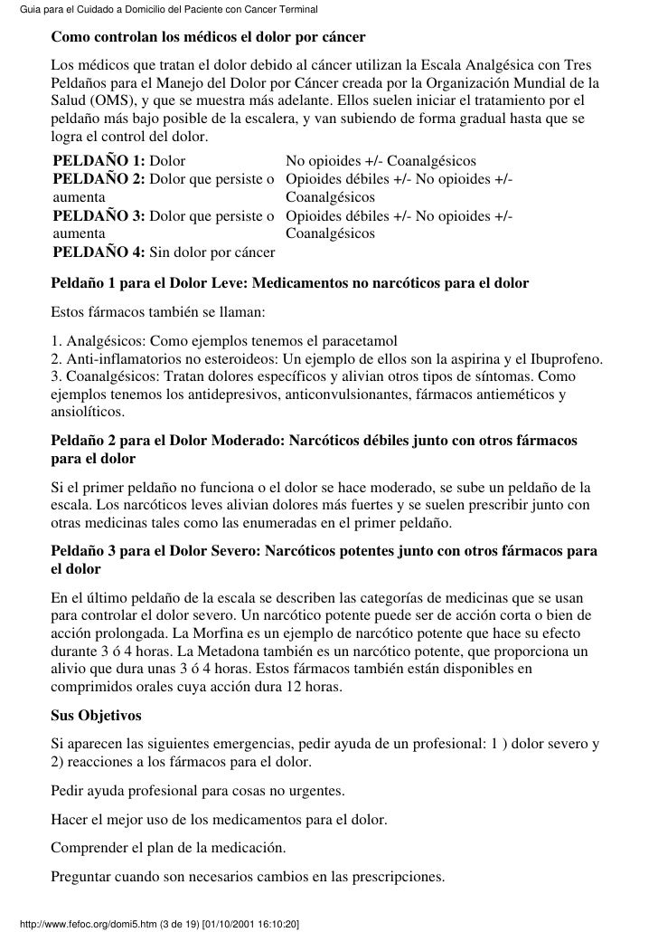Guia Para el Cuidado a Domicilio del Paciente con Cancer 