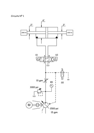 Circuito Nº 1
M
P T
A B
S1 S2
10 gpm
M1 S0
2"
2880 lb 3000 lb
4"
3"
3000 psi
15 gpm
2500 psi
 