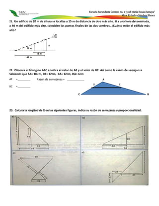 Escuela Secundaria General no. 1 “José María Rosas Zumaya” 
Mtra. Eréndira Sánchez Blanco 
21. Un edificio de 20 m de altura se localiza a 15 m de distancia de otro más alto. Si a una hora determinada, 
a 40 m del edificio más alto, coinciden los puntos finales de las dos sombras. ¿Cuánto mide el edificio más 
alto? 
Profra. Eréndira Sánchez Blanco 
x 
22. Observa el triángulo ABC e indica el valor de AE y el valor de BC. Así como la razón de semejanza. 
Sabiendo que AB= 18 cm, DE= 12cm, CA= 12cm, DA= 6cm 
AE =_________ Razón de semejanza = ____________ 
BC =_________ 
A 
D E 
C B 
23. Calcula la longitud de X en las siguientes figuras, indica su razón de semejanza y proporcionalidad. 
 