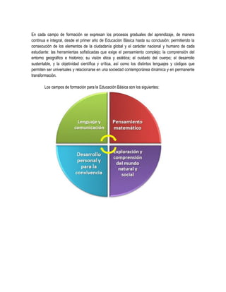 En cada campo de formación se expresan los procesos graduales del aprendizaje, de manera
continua e integral, desde el primer año de Educación Básica hasta su conclusión; permitiendo la
consecución de los elementos de la ciudadanía global y el carácter nacional y humano de cada
estudiante: las herramientas sofisticadas que exige el pensamiento complejo; la comprensión del
entorno geográfico e histórico; su visión ética y estética; el cuidado del cuerpo; el desarrollo
sustentable, y la objetividad científica y crítica, así como los distintos lenguajes y códigos que
permiten ser universales y relacionarse en una sociedad contemporánea dinámica y en permanente
transformación.

       Los campos de formación para la Educación Básica son los siguientes:
 