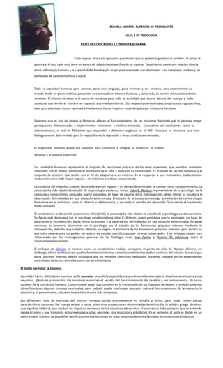 ESCUELA NORMAL SUPERIOR DE PIEDECUESTA
GUIA 2 DE PSICOLOGIA
BASES BIOLÓGICAS DE LA CONDUCTA HUMANA
Cada especie alcanza la ejecución y evolución que su potencial genético le permite. El perro, la
paloma y el pez, cada uno, tiene un potencial adaptativo específico de su especie. Igualmente, existe una relación directa
entre la fisiología humana y la capacidad del hombre y la mujer para responder con efectividad a los complejos cambios y las
demandas de su entorno físico y social.
Toda la capacidad humana para razonar, para usar lenguaje, para inventar y ser creativo, para experimentar su
mundo desde un plano estético, para crear una amistad con otro ser humano, y tanto más, es función de nuestro sistema
nervioso. El sistema nervioso es el centro de comando para toda la actividad que ocurre dentro del cuerpo y toda
conducta que emite el hombre en repuesta a su medioambiente. Sus respuestas emocionales, sus procesos cognoscitivos,
todo acto voluntario (como caminar) e involuntario (como respirar) están dirigidos por el sistema nervioso.
Sabemos que el uso de drogas y fármacos alteran el funcionamiento de las neuronas haciendo que la persona tenga
percepciones distorsionadas y experimenten emociones y motivos alterados. Conocemos de condiciones como la
arteriosclerosis, el mal de Alzheimer que responden a deterioro orgánico en el SNC. Inclusive se reconoce una base
biológicamente determinada para la esquizofrenia, la depresión y otras condiciones mentales.
El organismo humano posee dos sistemas para coordinar e integrar la conducta: el sistema
nervioso y el sistema endocrino.
Las conductas humanas representan el conjunto de reacciones psíquicas de los seres superiores, que permiten mantener
relaciones con el medio, sostienen el fenómeno de la vida y aseguran su continuidad. Es el modo de ser del individuo y el
conjunto de acciones que realiza con el fin de adaptarse a un entorno. Es la respuesta a una motivación, traduciéndose
motivación como todo lo que impulsa a un individuo a realizar una conducta.
La conducta del individuo, cuando se considera en un espacio y un tiempo determinado se conoce como comportamiento. La
conducta ha sido objeto de estudio de la psicología desde sus inicios. John B. Watson, representante de la psicología de la
conducta o conductismo, postulaba que la psicología, en lugar de basarse en la instrospección, debía limitar su estudio a la
observación del individuo en una situación determinada. El estudio de la conducta investiga la evolución de ciertas etapas
formativas en el individuo, como la infancia o adolescencia, y va unido al estudio del desarrollo físico desde el nacimiento
hasta la muerte.
El conductismo se desarrolló a comienzos del siglo XX, la conducta ha sido objeto de estudio de la psicología desde sus inicios.
Su figura más destacada fue el psicólogo estadounidense John B. Watson, quien postulaba que la psicología, en lugar de
basarse en la introspección, debía limitar su estudio a la observación del individuo en una situación determinada. En aquel
entonces, la tendencia dominante en la psicología era el estudio de los fenómenos psíquicos internos mediante la
introspección, método muy subjetivo. Watson no negaba la existencia de los fenómenos psíquicos internos, pero insistía en
que tales experiencias no podían ser objeto de estudio científico porque no eran observables. Este enfoque estaba muy
influenciado por las investigaciones pioneras de los fisiólogos rusos Ivan Pavlov y Vladimir M. Bekhterev sobre el
condicionamiento animal.
El enfoque de Skinner, se conoció como un conductismo radical, semejante al punto de vista de Watson. Skinner, sin
embargo, difería de Watson en que los fenómenos internos, como los sentimientos debían excluirse del estudio. Sostenía que
estos procesos internos debían estudiarse por los métodos científicos habituales, haciendo hincapié en los experimentos
controlados tanto con animales como con seres humanos.
El tejido nervioso: la neurona
La unidad básica del sistema nervioso es la neurona, una célula especializada que transmite mensajes o impulsos nerviosos a otras
neuronas, glándulas y músculos. Las neuronas encierran el secreto del funcionamiento del cerebro y, en consecuencia, de la na-
turaleza de la conciencia humana. Conocemos el papel que cumplen en la transmisión de los impulsos nerviosos, y también sabemos
cómo funcionan algunos circuitos neuronales, pero todavía queda mucho por descubrir sobre el funcionamiento de la memoria, la
emoción y el pensamiento, procesos todos ellos mucho más complejos.
Los diferentes tipos de neuronas del sistema nervioso varían enormemente en tamaño y forma, pero todas tienen ciertas
características comunes. Del cuerpo celular o soma, salen unas proyecciones denominadas dendritas (de la palabra griega dendron,
que significa «árbol»), que reciben los impulsos nerviosos de las neuronas adyacentes. El axón es un tubo estrecho que se extiende
desde el soma y que transmite estos mensajes a otras neuronas (o a músculos y glándulas). En el extremo, el axón se divide en un
determinado número de pequeñas ramificaciones que terminan en unos pequeños botones llamados terminaciones sinápticas.
 