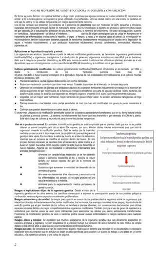 AMO MI PROFESIÓN, ME SIENTO EDUCADORA DE CORAZÓN Y CON VOCACIÓN
De forma se puede fabricar, con relativa facilidad y a bajo costo, proteínas que algunas personas no pueden sintetizar.El mecanismo es
similar al de la terapia génica: se insertan los genes utilizando virus portadores, pero las células blanco son una colonia de bacterias en
una caja de pettri y no las células del paciente,con riesgos aparentemente menores.
Una de las ventajas que presentan las bacterias es la presencia de plásmidos, que son moléculas de ADN, pequeñas y circulares,
separadas del cromosoma principal, fáciles de manipulary alterar. Una vez modificada, la bacteria se produce y genera muchas copias
del gen deseado.En la actualidad se sintetizan de esta forma la insulina, la hormona del crecimiento y el factor de coagulación, ausente
en hemofílicos. Adicionalmente se fabrica el interferon, que es de origen animal pero que se utiliza en humanos en el
tratamiento de enfermedades virales como la hepatitis, la gripe, el herpes, la rabia, y en algunos casos el cáncer. La investigación en
microorganismos también busca crear bacterias capaces de transformar biológicamente residuos para ser usados en la depuración de
aguas y vertidos industrialmente, o que produzcan sustancias edulcorantes, aromas, condimentos, aminoácidos, vitaminas,
pigmentos,etc.
Aplicaciones en la producción agrícola y animal.
Los organismos eucarioticos, desarrollados a partir de células modificadas genéticamente, se denominan organismos genéticamente
modificados(OGM) u organismos transgénicos. La introducción de genes en organismos eucariotas es mas difícil que en bacterias,
dado que la mayoría no presentan plásmidios y su ADN esta menos expuestos. La técnica mas utilizada en plantas y animales es el uso
de vectores, que son microorganismos o virus que infectan el ADN del hospedero y lo modifican con el gen deseado.
Cultivos genéticamente modificados: los cultivos genéticamente modificados(CGM)fueron introducidos en el mercado en 1994, y
desde la introducción de los herbicidas químicos hace mas de
40 años,. Han sido el mayor avance tecnologico en la agricultura. Algunas de las posibilidades de modificaciones a los cultivos, muchas
de ellas ya existentes, son:
♥ Plantas resistentes a ciertas plagas o tratamientos con ciertos herbicidas.
♥ Frutos con maduración controlada que duran mas tiempo. Ya estén disponibles en el mercado los tomates larga vida.
♥ Obtención de variedades de plantas que produzcan algunos de us propios fertilizantes.Actualmente se trabaja en la insercion en
plantas superiores del gen responsable de la fijación de nitrógeno atmosférico por parte de algunas bacterias y ciano bacterias. De
esta forma las plantas no tendrían que depender del nitrógeno organico presente en el suelo, que frecuentemente es escaso.
♥ Vegetales con un mayor valor nutricional, mayor contenido de grasa o mejor sabor. Ya existen variedades transgénicas de trigo
mas nutritivas.
♥ Plantas resistentes a las heladas, como ciertas variedades de maíz que han sido modificadas con genes de peces resistentes al
frio.
♥ Cultivops que puedan desarrollarse en suelos secos o salinos.
El vector mas utilizado es la modificación geneticade plantas es la bacteria agrobacterium tumefaciens, que en su forma natural infecta
las plantas y provoca tumores. La bacteria, es relativamente fácil hacer que esta transmita el gen deseado al ADN de la planta.
Este tejido luego se cultivara y se producirá para obtener las plantas trangenicas.
Uso en la producción animal: En animales, la modificación genética es más complicada que en plantas, dado que aun no es posible
obtener un animal completo partir de un tejido. Se requiere, por tanto, infectar células madres embrionarias para que todo el
organismo presente la modificción genética. Esto se realiza por la inserción,
mediante un vector viral o microinyeccione, de un plásmido que se integra en el
genotipo de la celula. En mamíferos la célula se inserta en el útero de la hembra,
mientras que en ovíparos se modifica el embrión dentro del huevo. En otro
proceso llamado clonación se transfiere todo el núcleo de la célula madre a un
óvulo sin núcleo que actua como receptor. Apartir de este óvulo se desarrolla un
nuevo individuo. Algunos de los resultados o perspectivas interesantes para
animales transgénicos son:
♥ Animales con características mejoradas: ya se han obtenido
carpas y salmones resistentes al frio y ratones de mayor
tamaño por adicion repetida del gen de la hormona del
crecimiento.
♥ Sustancias que aumenten la velocidad de desarrollo de los
animales de granja.
♥ Animales mas resistentes a las infecciones, y vacunas contra
las enfermedades del ganado, ya se logró producir en una
vaca la resistencia a la mastitis.
♥ Animales para la experimentación medica portadores de
genes humanos.
Riesgos e implicaciones éticas de la ingeniería genética: Desde el inicio de la
ingeniería genética en los años setenta, los científicos comenzaron a expresar su preocupación acerca de sus posibles peligros.a
continuación veremos algunos aspectos considerados problematicos.
Riesgos ambientales y de sanidad: La mayor preocupación es acerca de los posibles efectos negativos sobre los organismos que
interactúan directa o indirectamente con las plantas modificadas: los hervivoros, los enemigos naturales de las plagas y la microbiota del
suelo.Es posible que el gen insertado de los cultivos se transfiera a plantas silvestres, con consecuencias desconocidas para dichas
especies naturales debido a la mayor competitividad de los organismos modificados. También procura el uso de genes de resisitencia a
antibióticos que muchas veces se usan como marcadores para seleccionar las células que fueron exitosamente transformadas.
Finalmente, la modificación genética de virus o bacterias podría causar nuevas enfermedades o riesgos sanitarios para cualquier
especie.
Riesgos éticos y morales: Se considera que muchas aplicaciones de la ingeniería genética que son éticamente aceptables en
especies animales y vegetales, no son aceptables en la especie human. La clonación de seres humanos ha sido motivo de amplio
debate en los últimos años al igual que la experimentación con embriones humanos.
Riesgos sociales: Se considera que han de existir limites legales, mpara que el derecho a la intimidad no se vea afectado; es necesario
establecer leyes que impidan que en el futuro se exijan pruebas genéticas para acceder a un puesto de trabajo, a una plaza en un centro
educativo, a la asistencia sanitaria o una poliza de seguros.
2
 