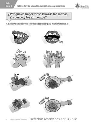 8 1º Básico, Primer semestre
Hábitos de vida saludable, cuerpo humano y seres vivos
Ficha
Clase 3
¿Por qué es importante lavarse las manos,
el cuerpo y los alimentos?
1. Encierra en un círculo lo que debes hacer para mantenerte sano:
C102.indd 8 18-11-16 11:57
Derechos reservados Aptus Chile
Derechos reservados Aptus Chile
 