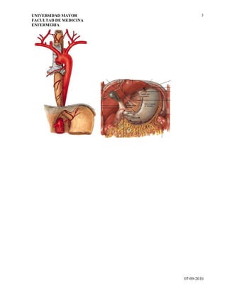 Guia 3   generalidades sistema digestivo.doc