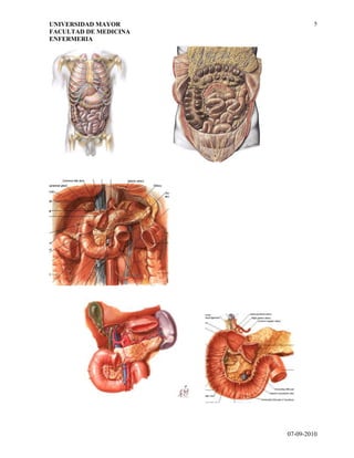 Guia 3   generalidades sistema digestivo.doc
