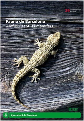 Fauna de Barcelona
Amfibis, rèptils i mamífers
Guies d’educació
ambiental39
 