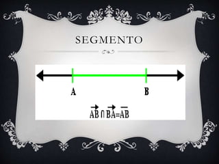 SEGMENTO
 