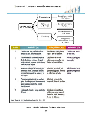 [CRECIMIENTO Y DESARROLLO DEL NIÑO Y EL ADOLESCENTE] 
18 
Anexo 2: Estadios de Maduración Sexual en Varones. 
GONADARCA 
Espermarca 
Edad Promedio: 11,7 años 
Volumen Testicular 
Edad Promedio: 11,7 años 
Menarca 
Edad Promedio: 12,34 años 
Rango de Variabilidad: 9,2 a 15,5 años  