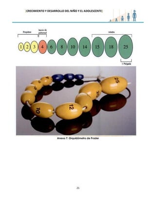 [CRECIMIENTO Y DESARROLLO DEL NIÑO Y EL ADOLESCENTE] 
21 
Anexo 7: Orquidómetro de Prader 
 