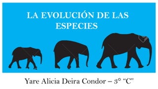 LA EVOLUCIÓN DE LAS
ESPECIES
Yare Alicia Deira Condor – 3° “C”
 