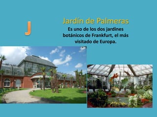 Jardín de Palmeras
Es uno de los dos jardines
botánicos de Frankfurt, el más
visitado de Europa.
 