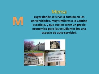 Mensa
Lugar donde se sirve la comida en las
universidades, muy similares a la Cantina
española, y que suelen tener un precio
económico para los estudiantes (es una
especie de auto-servicio).
 