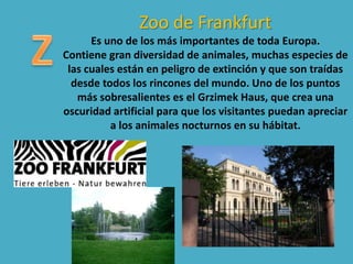 Zoo de Frankfurt
Es uno de los más importantes de toda Europa.
Contiene gran diversidad de animales, muchas especies de
las cuales están en peligro de extinción y que son traídas
desde todos los rincones del mundo. Uno de los puntos
más sobresalientes es el Grzimek Haus, que crea una
oscuridad artificial para que los visitantes puedan apreciar
a los animales nocturnos en su hábitat.
 