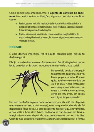 MINISTÉRIO DA SAÚDE / Secretaria de Atenção à Saúde / Departamento de Atenção Básica




      Como comentado anteriormente, o agente de controle de ende-
      mias tem, entre outras atribuições, algumas que são específicas,
      como:
             Realizar
             Realizar, quando indicada, a aplicação de larvicidas/moluscocidas químicos e
             biológicos; a borrifação intradomiciliar de efeito residual; e a aplicação espacial
             de inseticidas por meio de nebulizações;
             Realizar atividades de identificação e mapeamento de coleções hídricas de
             importância epidemiológica, ou seja, locais onde a água possa ser criadouro de
             vetores de doenças.

      DENGUE

      É uma doença infecciosa febril aguda causada pelo mosquito
      Aedes aegypti.
      É hoje uma das doenças mais frequentes no Brasil, atingindo a popu-
      lação de todos os Estados, independentemente de classe social.
                                                            No seu ciclo de vida, o mosqui-
                                                            to apresenta quatro fases: ovo,
                                                            larva, pupa e adulto. O mos-
                                                            quito adulto vive em média de
                                                            30 a 35 dias. A sua fêmea põe
                                                            ovos de quatro a seis vezes du-
                                                            rante sua vida e, em cada vez,
                                                            cerca de 100 ovos, em locais
                                                            com água limpa e parada.
      Um ovo de Aedes aegypti pode sobreviver por até 450 dias (aproxi-
      madamente um ano e dois meses), mesmo que o local onde ele foi
      depositado fique seco. Se esse recipiente receber água novamente,
      o ovo volta a ficar ativo (vivo), podendo se transformar em larva e
      atingir a fase adulta depois de, aproximadamente, dois ou três dias.
      Quando não encontra recipientes apropriados (criadouros), a fêmea
242
 