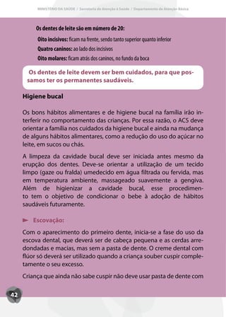 MINISTÉRIO DA SAÚDE / Secretaria de Atenção à Saúde / Departamento de Atenção Básica




          Os dentes de leite são em número de 20:
          Oito incisivos: ficam na frente, sendo tanto superior quanto inferior
          Quatro caninos: ao lado dos incisivos
          Oito molares: ficam atrás dos caninos, no fundo da boca

       Os dentes de leite devem ser bem cuidados, para que pos-
      samos ter os permanentes saudáveis.

     Higiene bucal

     Os bons hábitos alimentares e de higiene bucal na família irão in-
     terferir no comportamento das crianças. Por essa razão, o ACS deve
     orientar a família nos cuidados da higiene bucal e ainda na mudança
     de alguns hábitos alimentares, como a redução do uso do açúcar no
     leite, em sucos ou chás.
     A limpeza da cavidade bucal deve ser iniciada antes mesmo da
     erupção dos dentes. Deve-se orientar a utilização de um tecido
     limpo (gaze ou fralda) umedecido em água filtrada ou fervida, mas
     em temperatura ambiente, massageado suavemente a gengiva.
     Além de higienizar a cavidade bucal, esse procedimen-
     to tem o objetivo de condicionar o bebe à adoção de hábitos
     saudáveis futuramente.

        Escovação:
     Com o aparecimento do primeiro dente, inicia-se a fase do uso da
     escova dental, que deverá ser de cabeça pequena e as cerdas arre-
     dondadas e macias, mas sem a pasta de dente. O creme dental com
     flúor só deverá ser utilizado quando a criança souber cuspir comple-
     tamente o seu excesso.
     Criança que ainda não sabe cuspir não deve usar pasta de dente com

42
 