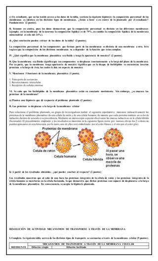 c) Un estudiante, que no ha tenido acceso a los datos de la tabla, sostiene la siguiente hipótesis: la composición porcentual de las
membranas es idéntica en los distintos tipos de membranas. ¿Están a favor o en contra de lo planteado por el estudiante?
Fundamenten (2 puntos).
R. Estamos en contra, pues los datos demuestran que la composición porcentual es distinta en las diferentes membranas
(ejemplo: en la membrana de la neurona la composición lipídica es de 79% ,en cambio la composición lipídica de la membrana
mitocondrial es sólo del 24% ).
d) ¿Qué conclusión pueden extraer de los datos de la tabla? (2 puntos).
La composición porcentual de los componentes que forman parte de las membranas es distinta de una membrana a otra. Esto
sugiere que la composición de las distintas membranas va a depender de la función que éstas cumplan.
IV. ¿Qué significa que la membrana plasmática sea fluida y tenga la apariencia de mosaico? (2 puntos).
R. Que la membrana sea fluida significaque sus componentes se desplazan constantemente a lo largo del plano de la membrana.
Por su parte, que la membrana tenga apariencia de mosaico significa que en la bicapa de fosfolípidos se encuentran insertas
proteínas a lo largo de ésta, las cuales le dan un aspecto de mosaico.
V. Mencionen 3 funciones de la membrana plasmática (1 punto).
1. Transporte de sustancias
2. Reconocimiento intercelular
3. Recepción de señales externas
VI. Se sabe que los fosfolípidos de la membrana plasmática están en constante movimiento. Sin embargo, ¿se mueven las
proteínas de la membrana?
a) Plantea una hipótesis que dé respuesta al problema planteado (2 puntos).
R. Las proteínas se desplazan a lo largo de la membrana celular
Para solucionar el problema planteado, un grupo de investigadores realizó el siguiente experimento: marcaron radioactivamente las
proteínas de la membrana plasmática de una célula de ratón y de una célula humana, de manera que cada proteína emitiera un co lor de
radiación distinto de acuerdo a su procedencia. Mediante un microscopio especial observaron las marcas radiactivas en la célula híbrida
(fusionada). El procedimiento empleado y los resultados se muestran en la siguiente figura (nota: por razones obvias los 2 colores no
pueden apreciarse en esta fotocopia, por lo tanto,uno de ellos está simbolizado por el color blanco y el otro por el color gris).
b) A partir de los resultados obtenidos, ¿qué puedes concluir al respecto? (2 puntos)
Los resultados muestran que al cabo de una hora las proteínas integrales de la célula de ratón y las proteínas integrales de la
célula humana se mezclaron en la célula fusionada, lo que demuestra que dichas proteínas son capaces de desplazarse a lo largo
de la membrana plasmática. En consecuencia, se acepta la hipótesis planteada.
RESOLUCIÓN DE ACTIVIDAD MECANSIMOS DE TRANSPORTE A TRAVÉS DE LA MEMBRANA
I. Completa la siguiente tabla acerca de los distintos tipos de transporte se sustancias a través de la membrana celular (9 puntos).
REFERENTE
MECANISMOS DE TRANSPORTE A TRAVÉS DE LA MEMBRANA CELULAR
Difusión simple Difusión facilitada
 