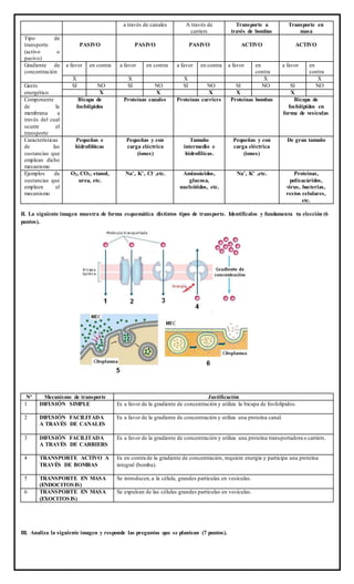 a través de canales A través de
carriers
Transporte a
través de bombas
Transporte en
masa
Tipo de
transporte
(activo o
pasivo)
PASIVO PASIVO PASIVO ACTIVO ACTIVO
Gradiente de
concentración
a favor en contra a favor en contra a favor en contra a favor en
contra
a favor en
contra
X X X X X
Gasto
energético
SI NO SI NO SI NO SI NO SI NO
X X X X X
Componente
de la
membrana a
través del cual
ocurre el
transporte
Bicapa de
fosfolípidos
Proteínas canales Proteínas carriers Proteínas bombas Bicapa de
fosfolípidos en
forma de vesículas
Características
de las
sustancias que
emplean dicho
mecanismo
Pequeñas e
hidrofóbicas
Pequeñas y con
carga eléctrica
(iones)
Tamaño
intermedio e
hidrofílicas.
Pequeñas y con
carga eléctrica
(iones)
De gran tamaño
Ejemplos de
sustancias que
empleen el
mecanismo
O2, CO2, etanol,
urea, etc.
Na+, K+, Cl- ,etc. Aminoácidos,
glucosa,
nucleótidos, etc.
Na+, K+ ,etc. Proteínas,
polisacáridos,
virus, bacterias,
restos celulares,
etc.
II. La siguiente imagen muestra de forma esquemática distintos tipos de transporte. Identifícalos y fundamenta tu elección (6
puntos).
Nº Mecanismo de transporte Justificación
1 DIFUSIÓN SIMPLE Es a favor de la gradiente de concentración y utiliza la bicapa de fosfolípidos.
2 DIFUSIÓN FACILITADA
A TRAVÉS DE CANALES
Es a favor de la gradiente de concentración y utiliza una proteína canal.
3 DIFUSIÓN FACILITADA
A TRAVÉS DE CARRIERS
Es a favor de la gradiente de concentración y utiliza una proteína transportadora o carriers.
4 TRANSPORTE ACTIVO A
TRAVÉS DE BOMBAS
Es en contra de la gradiente de concentración, requiere energía y participa una proteína
integral (bomba).
5 TRANSPORTE EN MASA
(ENDOCITOSIS)
Se introducen,a la célula, grandes partículas en vesículas.
6 TRANSPORTE EN MASA
(EXOCITOSIS)
Se expulsan de las células grandes partículas en vesículas.
III. Analiza la siguiente imagen y responde las preguntas que se plantean (7 puntos).
 