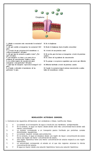 1. ¿Dónde se encuentra más concentrada la sustancia?
(0,5 ptos).
R. En el citoplasma
2. ¿En qué sentido se transportan las sustancias? (0,5
ptos)
R. Desde el citoplasma hacia el medio extracelular
3. ¿A través de que estructura de la membrana se
realiza el transporte? (0,5 ptos)
R. A través de una proteína canal
4. ¿De qué tipo de sustancia se podría tratar? ¿Por
qué? (1,5 ptos).
R. De un ión, pues los iones se transportan a través de proteínas
canales.
5. ¿El transporte es a favor o en contra de su
gradiente de concentración? Explica (1 pto).
R. Es a favor de la gradiente de concentración
6. ¿La célula requiere de energía extra para
transportar estas partículas? (0,5 ptos)
R. No, porque es un proceso espontáneo que ocurre por difusión
7. ¿Qué tipo de transporte representa la imagen? (1,5
ptos)
R. Difusión facilitada a través de proteínas canales
8. ¿Cuándo se detendrá el movimiento de las
partículas? (1 pto).
R. Cuando la sustancia tenga la misma concentración a ambos
lados de la membrana celular.
RESOLUCIÓN ACTIVIDAD OSMOSIS.
1. Contesta si las siguientes afirmaciones son verdaderas o falsas. Justifica las falsas.
1. V La osmosis es el transporte de agua a través de una membrana semipermeable.
2. V En la osmosis, el agua se mueve desde donde está más concentrada hacia donde está
menos concentrada.
3. V La osmosis corresponde a un transporte pasivo facilitado por proteínas canales
denominadas aquaporinas.
4. F La osmosis requiere energía para producirse.
5. F En la osmosis, el agua se desplaza desde una región de mayor concentración de soluto
hacia una región de menor concentración de soluto.
6. V Una región hipotónica tiene una menor concentración de solutos respecto a una región
hipertónica.
7. V La isotonicidad corresponde al estado en el que dos regiones alcanzan la misma
concentración de solutos.
8. F El agua se mueve desde una solución hipertónica hacia una solución hipotónica
 