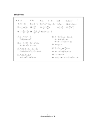 Soluciones
3
Guía de Algebra N° 4