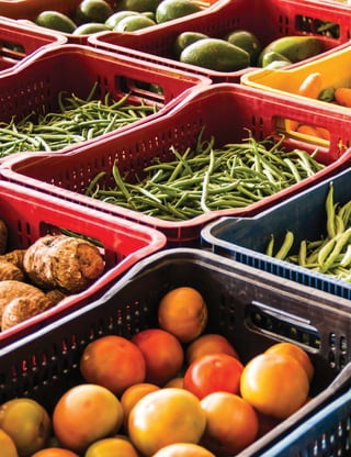 10 
MINISTÉRIO DA SAÚDE 
 