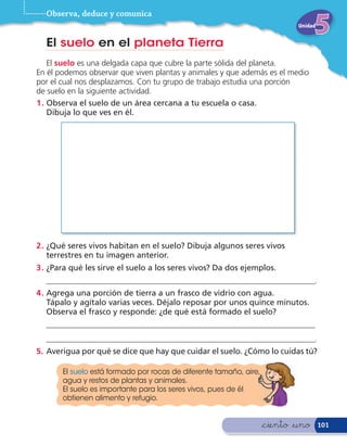 Observa, deduce y comunica
                                                                            Unidad


  El suelo en el planeta Tierra
    El suelo es una delgada capa que cubre la parte sólida del planeta.
En él podemos observar que viven plantas y animales y que además es el medio
por el cual nos desplazamos. Con tu grupo de trabajo estudia una porción
de suelo en la siguiente actividad.
1 . Observa el suelo de un área cercana a tu escuela o casa.
    Dibuja lo que ves en él.




2 . ¿Qué seres vivos habitan en el suelo? Dibuja algunos seres vivos
    terrestres en tu imagen anterior.
3 . ¿Para qué les sirve el suelo a los seres vivos? Da dos ejemplos.
  ___________________________________________________________________.
4 . Agrega una porción de tierra a un frasco de vidrio con agua.
    Tápalo y agítalo varias veces. Déjalo reposar por unos quince minutos.
    Observa el frasco y responde: ¿de qué está formado el suelo?
  ___________________________________________________________________
  ___________________________________________________________________.
5. Averigua por qué se dice que hay que cuidar el suelo. ¿Cómo lo cuidas tú?

       El suelo está formado por rocas de diferente tamaño, aire,
       agua y restos de plantas y animales.
       El suelo es importante para los seres vivos, pues de él
       obtienen alimento y refugio.


                                                                    &ciento &uno     101
 