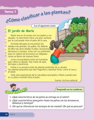 Tema 1
                  a las plantas?
       clasificar
 ¿Cómo
                                  Lee el siguiente texto.

     El jardín de María
       María vive en el campo con sus padres y sus
     abuelos. Su dormitorio tiene una gran ventana,
     por la cual puede mirar el patio de la casa.
         Al fondo del patio se encuentran los
     árboles más grandes, los paltos. Por delante
     de ellos hay otros árboles frutales: durazneros,
     damascos y naranjos. Estos son sus preferidos,
     pues en víspera de primavera sus delgadas
     ramas se llenan de vistosas ores.
         Junto a la pandereta están las hortalizas
     que cultiva su abuelo. Hay matas de apio,
     lechugas y zanahorias.
         Frente a su ventana están las plantas preferidas de su abuela.
     Son plantas pequeñas que dan fragantes y coloridas ores, como la rosa y
     el clavel.
         Todo este espectáculo de la naturaleza acompaña a María cuando está
     en su pieza mirando hacia el patio.
                                                          Fuente: Archivo editorial



                   í    ?                                   Responde en tu cuaderno.
¿Q u é e n t e n d
      1 . ¿Qué característica de los paltos se entrega en el relato?
      2 . ¿Qué característica semejante tienen los paltos con los durazneros,
          damascos y naranjos?
      3 . ¿En qué se diferencian los naranjos de los rosales? ¿En qué se parecen?


12     &doce
 