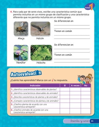 Unidad

4 . Para cada par de seres vivos, escribe una característica común que
    permita incluirlos en un mismo grupo de clasi cación y una característica
    diferente que no permita incluirlos en un mismo grupo.
                                                  Se diferencian en
                                                  _______________________________
                                                  _______________________________.
                                                  Tienen en común
                                                  _______________________________
        Abeja                Halcón               _______________________________.


                                                  Se diferencian en
                                                  _______________________________
                                                  _______________________________.
                                                  Tienen en común
                                                  _______________________________
                                                  _______________________________.
      Nenúfar                 Helecho




A u to eva l u a c i — n
¿Cuánto has aprendido? Marca con un √ tu respuesta.

                      Indicador                           Sí     A veces    No
1. ¿Identifico características observables de plantas?
2. ¿Identifico características observables de animales?
3. ¿Describo características de plantas y de animales?
4. ¿Comparo características de plantas y de animales?
5. ¿Clasifico plantas de acuerdo con una
   característica semejante?
6. ¿Clasifico animales de acuerdo con una
   característica semejante?



                                                                &treinta y &uno       31
 