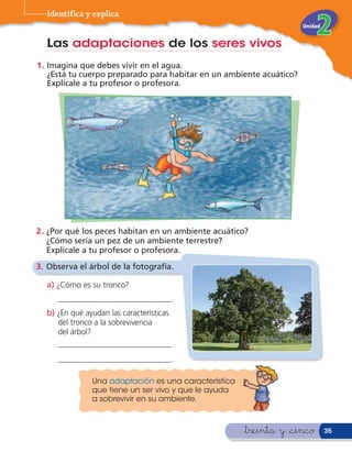Identifica y explica
                                                                      Unidad


  Las adaptaciones de los seres vivos
1 . Imagina que debes vivir en el agua.
    ¿Está tu cuerpo preparado para habitar en un ambiente acuático?
    Explícale a tu profesor o profesora.




2 . ¿Por qué los peces habitan en un ambiente acuático?
    ¿Cómo sería un pez de un ambiente terrestre?
    Explícale a tu profesor o profesora.
3. Observa el árbol de la fotografía.

  a) ¿Cómo es su tronco?
     ________________________________.

  b) ¿En qué ayudan las características
     del tronco a la sobrevivencia
     del árbol?
     ________________________________

     ________________________________.


               Una adaptación es una característica
               que tiene un ser vivo y que le ayuda
               a sobrevivir en su ambiente.



                                                      &treinta y &cinco        35
 