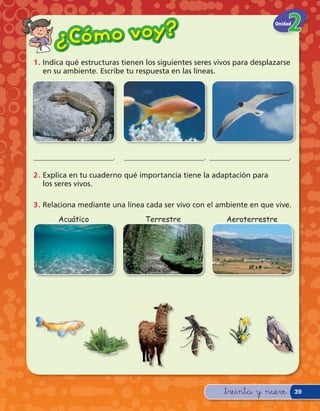 Có m o v o y?
                                                                        Unidad


      ¿
1 . Indica qué estructuras tienen los siguientes seres vivos para desplazarse
    en su ambiente. Escribe tu respuesta en las líneas.




______________________.    ____________________ ____________________
                                               __.                  __.

2 . Explica en tu cuaderno qué importancia tiene la adaptación para
    los seres vivos.

3 . Relaciona mediante una línea cada ser vivo con el ambiente en que vive.
       Acuático                  Terrestre               Aeroterrestre




                                                         &treinta y nueve        39
 