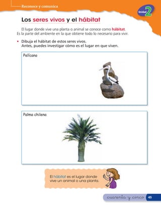 Reconoce y comunica
                                                                           Unidad


  Los seres vivos y el hábitat
   El lugar donde vive una planta o animal se conoce como hábitat.
Es la parte del ambiente en la que obtiene todo lo necesario para vivir.

• Dibuja el hábitat de estos seres vivos.
  Antes, puedes investigar cómo es el lugar en que viven.

    Pelícano




    Palma chilena




                     El hábitat es el lugar donde
                     vive un animal o una planta.



                                                          &cuarenta y &cinco        45
 