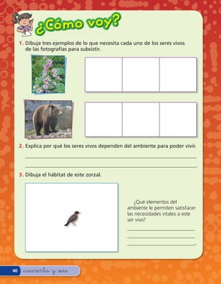 ¿ Có m o v o y?
     1 . Dibuja tres ejemplos de lo que necesita cada uno de los seres vivos
         de las fotografías para subsistir.




     2 . Explica por qué los seres vivos dependen del ambiente para poder vivir.
       ___________________________________________________________________
       ___________________________________________________________________.
     3 . Dibuja el hábitat de este zorzal.




                                                      ¿Qué elementos del
                                                   ambiente le permiten satisfacer
                                                   las necesidades vitales a este
                                                   ser vivo?
                                                   __________________________
                                                   __________________________
                                                   __________________________.




46    &cuarenta y &seis
 