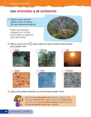 Observa e identifica


       Los animales y el ambiente

     1 . Observa este animal.
         ¿Sabes cómo se llama?
         ¿En qué ambiente habita?

       Realiza una pequeña
       indagación en un libro
       para ampliar tu respuesta.
       ¿Qué aprendiste?


     2 . Marca una X en el
         para poder vivir.
                             O para indicar lo que necesita este animal
           Agua                         Plantas                 Sol




           Suelo                        Aire                    Piedras




     3 . ¿Qué más puede necesitar un animal para poder vivir?

                       Los animales requieren de alimento, agua, aire,
                       un lugar donde vivir, una temperatura adecuada
                       y protección. Los animales obtienen del ambiente
                       lo que necesitan para vivir y crecer.


48    &cuarenta y &ocho
 
