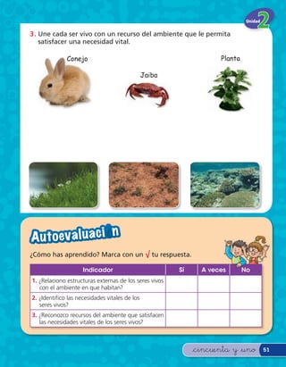 Unidad

3 . Une cada ser vivo con un recurso del ambiente que le permita
    satisfacer una necesidad vital.

              Conejo                                                Planta

                                               Jaiba




A u to eva l u a c i — n
¿Cómo has aprendido? Marca con un √ tu respuesta.

                    Indicador                           Sí     A veces       No
1. ¿Relaciono estructuras externas de los seres vivos
   con el ambiente en que habitan?
2. ¿Identi co las necesidades vitales de los
   seres vivos?
3. ¿Reconozco recursos del ambiente que satisfacen
   las necesidades vitales de los seres vivos?



                                                             &cincuenta y &uno         51
 
