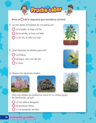 P r ueba sa ber
        Pinta el   O de la respuesta que consideras correcta.
     1 . Las tres partes principales de una planta son:

        O a) el polen, la hoja y la or.
        O b) la semilla, la hoja y el tallo.
        O c ) la raíz, el tallo y la hoja.


     2 . ¿Qué necesitan las plantas para vivir?

        O a) Piedras.
        O b) Agua, aire y luz del Sol.
        O c ) Aire.

     3 . Observa los siguientes árboles.




        Estos tres árboles los podríamos incluir en un mismo grupo
        de clasi cación, ya que:

        O a) son altos y alargados.
        O b) producen ores.
        O c ) no producen semillas.
54    &cincuenta y &cuatro
 
