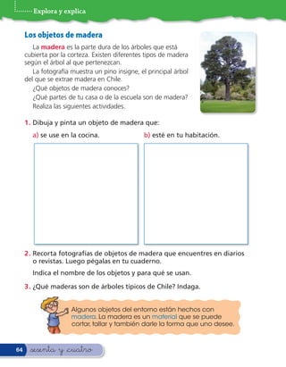 Explora y explica


     Los objetos de madera
        La madera es la parte dura de los árboles que está
     cubierta por la corteza. Existen diferentes tipos de madera
     según el árbol al que pertenezcan.
        La fotografía muestra un pino insigne, el principal árbol
     del que se extrae madera en Chile.
        ¿Qué objetos de madera conoces?
        ¿Qué partes de tu casa o de la escuela son de madera?
        Realiza las siguientes actividades.

     1 . Dibuja y pinta un objeto de madera que:
       a) se use en la cocina.                  b) esté en tu habitación.




     2 . Recorta fotografías de objetos de madera que encuentres en diarios
         o revistas. Luego pégalas en tu cuaderno.
       Indica el nombre de los objetos y para qué se usan.

     3 . ¿Qué maderas son de árboles típicos de Chile? Indaga.


                      Algunos objetos del entorno están hechos con
                      madera. La madera es un material que se puede
                      cortar, tallar y también darle la forma que uno desee.



64     &sesenta y &cuatro
 