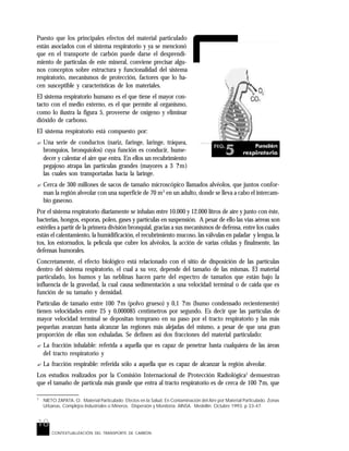 18
CONTEXTUALIZACIÓN DEL TRANSPORTE DE CARBÓN
1
NIETO ZAPATA, O. Material Particulado: Efectos en la Salud. En Contaminación del Aire por Material Particulado. Zonas
Urbanas, Complejos Industriales o Mineros. Dispersión y Monitoría. AINSA. Medellín. Octubre 1993. p 33-47.
Puesto que los principales efectos del material particulado
están asociados con el sistema respiratorio y ya se mencionó
que en el transporte de carbón puede darse el desprendi-
miento de partículas de este mineral, conviene precisar algu-
nos conceptos sobre estructura y funcionalidad del sistema
respiratorio, mecanismos de protección, factores que lo ha-
cen susceptible y características de los materiales.
El sistema respiratorio humano es el que tiene el mayor con-
tacto con el medio externo, es el que permite al organismo,
como lo ilustra la figura 5, proveerse de oxígeno y eliminar
dióxido de carbono.
El sistema respiratorio está compuesto por:
? Una serie de conductos (nariz, faringe, laringe, tráquea,
bronquios, bronquíolos) cuya función es conducir, hume-
decer y calentar el aire que entra. En ellos un recubrimiento
pegajoso atrapa las partículas grandes (mayores a 3 ?m)
las cuales son transportadas hacia la laringe.
? Cerca de 300 millones de sacos de tamaño microscópico llamados alvéolos, que juntos confor-
man la región alveolar con una superficie de 70 m2
en un adulto, donde se lleva a cabo el intercam-
bio gaseoso.
Por el sistema respiratorio diariamente se inhalan entre 10.000 y 12.000 litros de aire y junto con éste,
bacterias, hongos, esporas, polen, gases y partículas en suspensión. A pesar de ello las vías aéreas son
estériles a partir de la primera división bronquial, gracias a sus mecanismos de defensa, entre los cuales
están el calentamiento, la humidificación, el recubrimiento mucoso, las válvulas en paladar y lengua, la
tos, los estornudos, la película que cubre los alvéolos, la acción de varias células y finalmente, las
defensas humorales.
Concretamente, el efecto biológico está relacionado con el sitio de disposición de las partículas
dentro del sistema respiratorio, el cual a su vez, depende del tamaño de las mismas. El material
particulado, los humos y las neblinas hacen parte del espectro de tamaños que están bajo la
influencia de la gravedad, la cual causa sedimentación a una velocidad terminal o de caída que es
función de su tamaño y densidad.
Partículas de tamaño entre 100 ?m (polvo grueso) y 0,1 ?m (humo condensado recientemente)
tienen velocidades entre 25 y 0,000085 centímetros por segundo. Es decir que las partículas de
mayor velocidad terminal se depositan temprano en su paso por el tracto respiratorio y las más
pequeñas avanzan hasta alcanzar las regiones más alejadas del mismo, a pesar de que una gran
proporción de ellas son exhaladas. Se definen así dos fracciones del material particulado:
? La fracción inhalable: referida a aquella que es capaz de penetrar hasta cualquiera de las áreas
del tracto respiratorio y
? La fracción respirable: referida sólo a aquella que es capaz de alcanzar la región alveolar.
Los estudios realizados por la Comisión Internacional de Protección Radiológica1
demuestran
que el tamaño de partícula más grande que entra al tracto respiratorio es de cerca de 100 ?m, que
 