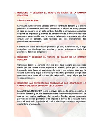 4. MENCÍONE Y DESCRIBA EL TRACTO DE SALIDA DE LA CAMARA
IZQUIERDA.
VÁLVULA PULMONAR
La válvula pulmonar está ubicada entre el ventrículo derecho y la arteria
pulmonar. Cuando este ventrículo se contrae, la válvula se abre y permite
el paso de sangre en un solo sentido: habilita la circulación sanguínea
cargada de impurezas y dióxido de carbono desde el corazón hacia los
pulmones, pero impide que la sangre oxigenada procedente de ellos
circule por el corazón. Está formada por tres membranas: dos
posteriores y una anterior.
Conforma el inicio del circuito pulmonar ya que, a partir de allí, el flujo
sanguíneo se distribuye por arterias y venas pulmonares hacia los
pulmones, donde es oxigenado.
5. MENCÍONE Y DESCRIBA EL TRACTO DE SALIDA DE LA CAMARA
DERECHA
Comienza desde la aurícula derecha que lleva sangre desoxigenada
traída por las venas cavas superior e inferior, pasa por la válvula
tricúspide para llegar al ventrículo derecho y así mismo pasa por la
válvula pulmonar y sigue el trayecto por la arteria pulmonar y llega a los
pulmones para hacer el proceso de oxigenación, luego sigue por las
venas pulmonares.
6. MENCIONE LAS ESTRUCTURAS ANATOMICAS QUE CONFORMAN LA
CAMARA IZQUIERDA SUPERIOR DEL CORAZON
La AURÍCULA IZQUIERDA forma la mayor parte de la porción superior o
base del corazón y en ella desembocan las cuatro venas pulmonares. Es
una de las cuatro cavidades del corazón. Recibe sangre oxigenada
proveniente de los pulmones y la impulsa a través de la válvula mitral
hacia el ventrículo izquierdo, el cual la distribuye a todo el organismo
mediante la arteria aorta.
 