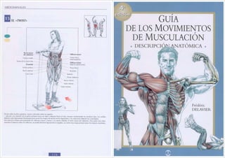 Guia anatomica de los movimientos de musculacion