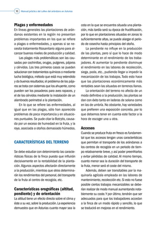 Manual práctico del cultivo del arándano en Asturias10
Plagas y enfermedades
En líneas generales las plantaciones de arán-
danos existentes en la región no presentan
problemas importantes en los que se refiere
a plagas o enfermedades, y apenas si se ne-
cesita tratamiento fitosanitario alguno para al-
canzar buenos niveles de producción y calidad.
	 Las plagas más problemáticas son las cau-
sadas por cochinillas, orugas, pulgones, pájaros
y cérvidos. Los tres primeros casos se pueden
solucionar con tratamientos químicos o mediante
lucha biológica,método que está muy extendido
y da buenos resultados; el problema de los pája-
ros se trata con sistemas que los ahuyente,como
pueden ser los posaderos para aves rapaces, y
el de los cérvidos mediante la instalación de un
alambrado perimetral a la plantación.
	 En lo que se refiere las enfermedades, al
igual que en las plagas, sólo han aparecido
problemas de poca importancia y en situacio-
nes puntuales.Se pude citar la Botrytis,causa-
da por un exceso de humedad en la fruta, y la
roya, asociada a otoños demasiado húmedos.
CARACTERÍSTICAS DEL TERRENO
Se debe estudiar con detenimiento las caracte-
rísticas físicas de la finca puesto que influirán
decisivamente en la rentabilidad de la planta-
ción.Algunos aspectos afectarán directamente
a la producción,mientras que otros determina-
rán los rendimientos del personal,del transporte
de la fruta al centro de recogida, etc.
Características orográficas (altitud,
pendiente) y de orientación
La altitud tiene un efecto directo sobre el clima y
éste a su vez,sobre la producción.La experiencia
demuestra que en Asturias cuanto mayor sea la
cota en la que se encuentra situada una planta-
ción, más tardía será su época de fructificación,
por lo que en plantaciones situadas en zonas lo
suficientemente altas,se puede alargar el perio-
do de cosecha hasta principios del otoño.
	 La pendiente no influye en la producción
de las plantas, pero sí que lo hace de modo
determinante en el rendimiento de los traba-
jadores. Al aumentar la pendiente disminuye
el rendimiento en las labores de recolección,
siega, poda, etc., pudiendo llegar a impedir la
mecanización de los trabajos. Todo esto hace
que las plantaciones económicamente más
rentables sean las situadas en terrenos llanos.
	 La orientación del terreno no afecta de un
modo definitivo a la producción, las plantas se
dan con éxito tanto en laderas de solana como
en las de umbría. No obstante, hay variedades
que prefieren una exposición concreta, por lo
que debemos tener en cuenta este factor a la
hora de escoger una u otra.
Accesos
Cuando se produce fruta en fresco es fundamen-
tal que los accesos tengan unas características
que permitan el transporte de los arándanos a
los centros de recogida en un periodo de tiem-
po relativamente breve, y así poder preenfriarlos
y evitar pérdidas de calidad. Al mismo tiempo,
cuanto menor sea la duración del transporte de
la fruta, menor será el coste del mismo.
	 Además, deben ser transitables por la ma-
quinaría agrícola empleada en las labores de
mantenimiento,recolección etc.Si esto no fuese
posible ciertos trabajos mecanizables se debe-
rían realizar de modo manual aumentando nota-
blemente su coste.Y por último,tendrán que ser
adecuados para que los trabajadores accedan
a la finca de un modo rápido y sencillo, lo que
se traducirá en mejoras en el rendimiento.
 