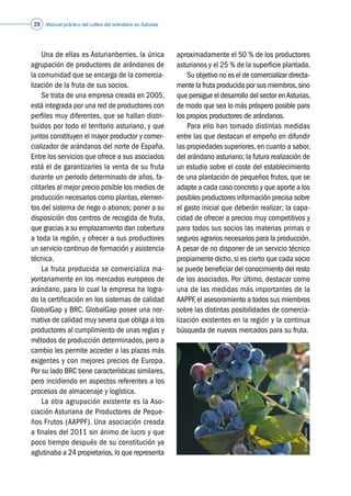 Manual práctico del cultivo del arándano en Asturias28
	 Una de ellas es Asturianberries, la única
agrupación de productores de arándanos de
la comunidad que se encarga de la comercia-
lización de la fruta de sus socios.
	 Se trata de una empresa creada en 2005,
está integrada por una red de productores con
perfiles muy diferentes, que se hallan distri-
buidos por todo el territorio asturiano, y que
juntos constituyen el mayor productor y comer-
cializador de arándanos del norte de España.
Entre los servicios que ofrece a sus asociados
está el de garantizarles la venta de su fruta
durante un periodo determinado de años, fa-
cilitarles al mejor precio posible los medios de
producción necesarios como plantas, elemen-
tos del sistema de riego o abonos; poner a su
disposición dos centros de recogida de fruta,
que gracias a su emplazamiento dan cobertura
a toda la región, y ofrecer a sus productores
un servicio continuo de formación y asistencia
técnica.
	 La fruta producida se comercializa ma-
yoritariamente en los mercados europeos de
arándano, para lo cual la empresa ha logra-
do la certificación en los sistemas de calidad
GlobalGap y BRC. GlobalGap posee una nor-
mativa de calidad muy severa que obliga a los
productores al cumplimiento de unas reglas y
métodos de producción determinados, pero a
cambio les permite acceder a las plazas más
exigentes y con mejores precios de Europa.
Por su lado BRC tiene características similares,
pero incidiendo en aspectos referentes a los
procesos de almacenaje y logística.
	 La otra agrupación existente es la Aso-
ciación Asturiana de Productores de Peque-
ños Frutos (AAPPF). Una asociación creada
a finales del 2011 sin ánimo de lucro y que
poco tiempo después de su constitución ya
aglutinaba a 24 propietarios,lo que representa
aproximadamente el 50 % de los productores
asturianos y el 25 % de la superficie plantada.
	 Su objetivo no es el de comercializar directa-
mente la fruta producida por sus miembros,sino
que persigue el desarrollo del sector enAsturias,
de modo que sea lo más próspero posible para
los propios productores de arándanos.
	 Para ello han tomado distintas medidas
entre las que destacan el empeño en difundir
las propiedades superiores, en cuanto a sabor,
del arándano asturiano; la futura realización de
un estudio sobre el coste del establecimiento
de una plantación de pequeños frutos, que se
adapte a cada caso concreto y que aporte a los
posibles productores información precisa sobre
el gasto inicial que deberán realizar; la capa-
cidad de ofrecer a precios muy competitivos y
para todos sus socios las materias primas o
seguros agrarios necesarios para la producción.
A pesar de no disponer de un servicio técnico
propiamente dicho,si es cierto que cada socio
se puede beneficiar del conocimiento del resto
de los asociados. Por último, destacar como
una de las medidas más importantes de la
AAPPF,el asesoramiento a todos sus miembros
sobre las distintas posibilidades de comercia-
lización existentes en la región y la continua
búsqueda de nuevos mercados para su fruta.
©Asturianberries
 