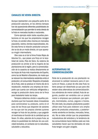 Comercialización del fruto en fresco y sus alternativas 29
CANALES DE VENTA DIRECTA
Aunque representen una pequeña parte de la
producción asturiana, en los últimos tiempos
han ido apareciendo diferentes posibilidades de
comercializaciónque permiten la venta directa de
la fruta en mercados locales o nacionales.
	 Como ejemplo están todas aquellas plan-
taciones en las que los propietarios recogen
la fruta y la venden ellos mismos en mercados
populares, rastros, tiendas especializadas, etc.
De esta forma la relación productor-consumi-
dor se da de un modo directo, sin que aparez-
ca ningún intermediario.
	 Otro caso es el de la firma Frutos Rojos de
Asturias S.L., que posee una finca en la loca-
lidad de Lieres, Pola de Siero. Su sistema de
producción es similar al de la mayoría de las
plantaciones de la región,pero la comercializa-
ción de la cosecha se realiza directamente en
las lonjas de fruta más importantes de España,
como las de Madrid o Barcelona, de modo que
se reducen los intermediarios existentes entre el
productor y el consumidor.Respecto al traslado
de la fruta, este se produce el mismo día de la
recolección, mediante una empresa de trans-
porte que cuenta con vehículos refrigerados y
recoge la producción diaria cerca de la finca
para trasladarla hasta las lonjas.
	 Tampoco debemos olvidar a aquellos pro-
ductores que han buscado ideas innovadoras
para comercializar su producto, como en el
caso de las fincas que disponen de sectores
en los que son los propios clientes quienes
recogen la fruta de las plantas y que pagarán
al marcharse en función de la cantidad que se
lleven. En ellas, además de la propia fruta, se
ofrece la posibilidad de disfrutar de una acti-
vidad recreativa,en contacto con la naturaleza,
saludable y educativa.
ALTERNATIVAS DE
COMERCIALIZACIÓN
Parte de la producción de una plantación no
alcanzará la calidad necesaria para el con-
sumo en fresco, a pesar de ello esta fruta no
tiene porque ser desechada ya que para ella
existen otras alternativas de comercialización.
Los arándanos de menor calidad, fruta de se-
gunda, pueden ser vendidos con un precio
menor a empresas que producen, por ejem-
plo, mermeladas, zumos, yogures o licores.
Por otro lado, los propios productores pueden
utilizar esta fruta para elaborar una amplia
gama de productos artesanales, y posterior-
mente venderlos en tiendas, mercados, ferias,
etc. No se debe olvidar que las propiedades
nutracéuticas del arándano y la tendencia de
los consumidores hacia hábitos cada vez más
saludables hacen que los derivados de esta
fruta tengan una gran acogida.
©Asturianberries
 