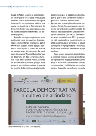 Manual práctico del cultivo del arándano en Asturias38
Grupo de Acción Local de la comarca don-
de se ubique la finca. Todos estos grupos
cuentan con un sitio web que recoge la
información necesaria para solicitar una
ayuda (en la web de la Red Asturiana de
Desarrollo Rural, www.readerasturias.org,
se puede acceder directamente a las dis-
tintas páginas).
	 	 Además, estos grupos gestionan otros
programas, como los proyectos de coope-
ración interterritorial, financiados por el
MARM que pueden prestar apoyo y asis-
tencia técnica para la puesta en marcha
de explotaciones de arándanos. Tal es el
caso del proyecto “Nuevos Horizontes” que
se desarrolla en dos comarcas asturia-
nas (Bajo Nalón y Navia-Porcía), además
de en otras diez comarcas gallegas. Este
proyecto está colaborando en la puesta
en marcha de la mencionada plantación
desarrollada por la cooperativa Caxigal,
por lo que en ella se realizan visitas or-
ganizadas con fines demostrativos.
•	 Ayudas para nuevas plantaciones de pe-
queños frutos. Son convocadas anual-
mente por el Gobierno del Principado de
Asturias a través del Boletín Oficial del Prin-
cipado deAsturias (B.O.P.A.) La última con-
vocatoria se celebró en el 2011, y aunque
no está confirmado su mantenimiento en
años sucesivos, es de prever que la actual
Consejería de Agroganadería y Recursos
Autóctonos establezca medidas de apoyo
similares.
	 	 Estas ayudas han venido destinándose
a personas físicas o jurídicas propietarias
de explotaciones de pequeños frutos (entre
ellos el arándano), que cuenten con las
competencias y habilidades necesarias
para su desarrollo, presenten un proyecto
Panel informativo en la finca Chao da Serra.
©Asturianberries
 