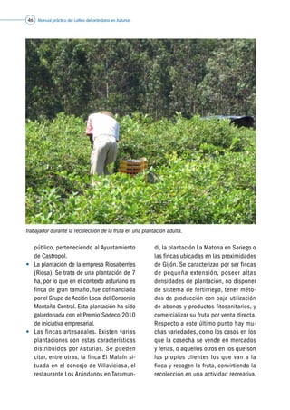 Manual práctico del cultivo del arándano en Asturias46
público, perteneciendo al Ayuntamiento
de Castropol.
•	 La plantación de la empresa Riosaberries
(Riosa). Se trata de una plantación de 7
ha, por lo que en el contexto asturiano es
finca de gran tamaño, fue cofinanciada
por el Grupo de Acción Local del Consorcio
Montaña Central. Esta plantación ha sido
galardonada con el Premio Sodeco 2010
de iniciativa empresarial.
•	 Las fincas artesanales. Existen varias
plantaciones con estas características
distribuidos por Asturias. Se pueden
citar, entre otras, la finca El Malaín si-
tuada en el concejo de Villaviciosa, el
restaurante Los Arándanos en Taramun-
di, la plantación La Matona en Sariego o
las fincas ubicadas en las proximidades
de Gijón. Se caracterizan por ser fincas
de pequeña extensión, poseer altas
densidades de plantación, no disponer
de sistema de fertirriego, tener méto-
dos de producción con baja utilización
de abonos y productos fitosanitarios, y
comercializar su fruta por venta directa.
Respecto a este último punto hay mu-
chas variedades, como los casos en los
que la cosecha se vende en mercados
y ferias, o aquellos otros en los que son
los propios clientes los que van a la
finca y recogen la fruta, convirtiendo la
recolección en una actividad recreativa.
Trabajador durante la recolección de la fruta en una plantación adulta.
©Asturianberries
 