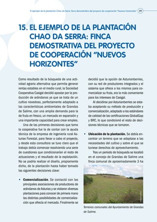 El ejemplo de la plantación Chao da Serra: finca demostrativa del proyecto de cooperación “Nuevos Horizontes” 49
15.	EL EJEMPLO DE LA PLANTACIÓN
CHAO DA SERRA: FINCA
DEMOSTRATIVA DEL PROYECTO
DE COOPERACIÓN “NUEVOS
HORIZONTES”
Como resultado de la búsqueda de una acti-
vidad agraria alternativa que permita generar
rentas estables en el medio rural, la Sociedad
Cooperativa Caxigal decidió apostar por la pro-
ducción de arándanos ya que se trata de un
cultivo novedoso, perfectamente adaptado a
las características ambientales de Grandas
de Salime, con una amplia demanda para la
de fruta en fresco, un mercado en expansión y
una importante capacidad para crear empleo.
	 Una de las primeras decisiones que tomo
la cooperativa fue la de contar con la ayuda
técnica de la empresa de ingeniería rural As-
turias Forestal, para llevar a cabo el proyecto,
y desde esta consultora se tuvo claro que el
trabajo debía comenzar resolviendo una serie
de cuestiones que condicionarían el resto de
actuaciones y el resultado de la explotación.
No se podría realizar el diseño, propiamente
dicho, de la plantación hasta haber tomado
las siguientes decisiones clave:
•	 Comercialización. Se contactó con las
principales asociaciones de productores de
arándanos deAsturias y se visitaron diversas
plantaciones para conocer de primera mano
las distintas posibilidades de comercializa-
ción que ofrecía el mercado. Finalmente se
decidió que la opción de Asturianberries,
con su red de productores integrados y el
sistema que ofrece a los mismos para co-
mercializar su fruta, era la más conveniente
para los intereses de Caxigal.
	 	 Al decidirse por Asturianberries se esta-
ba aceptando su método de producción y
comercialización,adaptado a los estándares
de calidad de las certificaciones GlobalGap
y BRC, lo que condicionó el resto de deci-
siones técnicas que se tomaron.
•	 Ubicación de la plantación. Se debía en-
contrar un terreno que se adaptase a las
necesidades del cultivo y sobre el que se
tuviese derechos de aprovechamiento.
	 	 Tras un periodo de búsqueda se localizó
en el concejo de Grandas de Salime una
finca comunal de aproximadamente 3 ha
Terrenos comunales del Ayuntamiento de Grandas
de Salime.
©Asturianberries
 