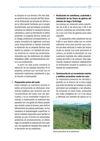El ejemplo de la plantación Chao da Serra: finca demostrativa del proyecto de cooperación “Nuevos Horizontes” 51
se ubicaba en sus terrenos. Por otro lado,
se confirmó tras la consulta del Plan Gene-
ral de Ordenación de Grandas de Salime y
de la información facilitada por el propio
Ayuntamiento, que los trabajos no podrían
comenzar sin obtener la necesaria licencia
urbanística y para su tramitación se debía
presentar un proyecto técnico visado por
el colegio profesional correspondiente. La
propia consultora de ingeniería rural que
venía desarrollando el trabajo acometió
la redacción de un proyecto técnico cuyo
diseño se adaptó a la realidad del terre-
no, teniendo en cuenta las condiciones,
impuestas por los estándares de calidad
GlobalGap y BRC, que Asturianberries mar-
ca a sus productores.
	 	 A partir de este punto comenzó la
ejecución de los trabajos descritos en el
proyecto, proceso que concluyó con la
plantación totalmente establecida y que
se resume a continuación:
•	 Preparación previa del suelo.
	 Estos trabajos se realizaron durante el
otoño, primeramente se efectuaron unos
análisis edáficos que revelaron que las
características del suelo eran las ade-
cuadas y no se necesitaba ninguna en-
mienda; a continuación se realizaron dos
pasadas con una grada de discos pesada
que rompió y aireo el terreno, pero evitó el
afloramiento de piedras profundas; no fue
necesario el despedregado superficial, ni
tomar medidas especiales para facilitar el
drenaje ya que el terreno no presentaba
problemas de encharcamiento; en último
lugar se completó la preparación del suelo
con una pasada de rotovator días antes de
la formación de los caballones.
•	 Realización de caballones, acolchado e
instalación de las líneas de goteros del
sistema de riego y fertirriego.
	 Las plantas se instalarán sobre caballo-
nes de 0,30 m de altura por 1,00 m de
anchura, cubiertos por acolchado sintéti-
co y con una línea de goteros para cada
caballón.
	 	 La separación entre caballones fue de
4,00 m, que define calles con un ancho
suficiente como para permitir que circu-
len por ellas vehículos a motor, del mismo
modo se realizó una calle perimetral al
cultivo y se dividió la plantación en una
cuadricula mediante dos calles perpendi-
culares de 6,00 m de anchura. Esta orga-
nización espacial mejorará notablemente
el rendimiento durante la cosecha y las
labores de mantenimiento.
•	 Construcción de un cerramiento exterior
y medidas preventivas contra las aves.
	 La importante presencia de cérvidos y
jabalíes en el entorno de la finca exigía
que antes de plantar se instalase un cierre
perimetral que protegiese a los arbustos.
Se construyó un cierre mixto, compuesto
por malla cinegética de 1,5 m de altura
y reforzado con alambre de espino en su
Cierre perimetral de la plantación.
©Caxigal
 