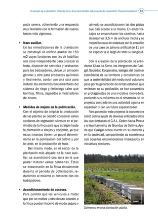 El ejemplo de la plantación Chao da Serra: finca demostrativa del proyecto de cooperación “Nuevos Horizontes” 53
poda severa, obteniendo una respuesta
muy favorable con la formación de nuevos
brotes más vigorosos.
•	 Nave auxiliar.
	 En las inmediaciones de la plantación
se construyó un edificio auxiliar de 150
m2 cuyas funciones son las de habilitar
una zona independiente para procesar el
fruto, disponer de servicios y vestuarios
para los trabajadores, ubicar un almacén
general y otro para productos químicos
y, finalmente, contar con una sala para
instalar los elementos fundamentales del
sistema de riego y fertirriego tales que
bombas, filtros, depósitos o mezcladores
de abono.
•	 Medidas de mejora en la polinización.
	 Con el objetivo de ampliar la producción
de las plantas se decidió conservar varios
cordones de vegetación silvestre en el pe-
rímetro de la finca para que atraigan hasta
la plantación a abejas y abejorros, ya que
estos insectos tienen un papel determi-
nante en la polinización del cultivo y, por
lo tanto, en la producción de fruta.
	 	 Del mismo modo, en el sector de la
plantación más alejado de la nave auxi-
liar, se acondicionó una zona en la que
poder instalar varias colmenas. Éstas
se encontrarán en la finca únicamente
durante el periodo de polinización, re-
duciendo al máximo el contacto con los
trabajadores.
•	 Acondicionamiento de accesos.
	 Para permitir que los vehículos a motor
que por un motivo u otro deban acceder a
la finca puedan hacerlo de modo seguro y
cómodo se acondicionaron las dos pistas
que dan acceso a la misma. En estos tra-
bajos se ensancharon los caminos hasta
alcanzar los 3,5 m de anchura media y se
mejoró la capa de rodadura con la creación
de una base de zahorra artificial de 15 cm
de espesor a lo largo de toda su longitud.
	 Con la creación de la plantación de arán-
danos Chao da Serra, los integrantes de Caxi-
gal,Sociedad Cooperativa,testigos del declinar
económico de su territorio y conscientes de
que la sostenibilidad del medio rural asturiano
pasa por la generación de rentas estables que
reviertan en su población, se han convertido
en protagonistas de una iniciativa innovadora,
poniendo sus esfuerzos en el desarrollo de un
proyecto centrado en una actividad agraria en
expansión y con un futuro esperanzador.
	 Para potenciar este proyecto la cooperativa
contó con la ayuda de diversas entidades entre
las que destacan el G.A.L. Ceder Navia-Porcia
y el Ayuntamiento de Grandas de Salime.Ayu-
da que Caxigal desea revertir en su entorno y
en la sociedad, compartiendo su experiencia
con aquellos emprendedores interesados en
iniciativas similares.
Colmenas en una plantación adulta.
©Asturianberries
 